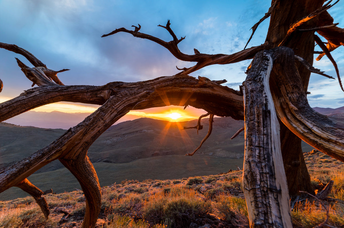 Eye of the Sierras